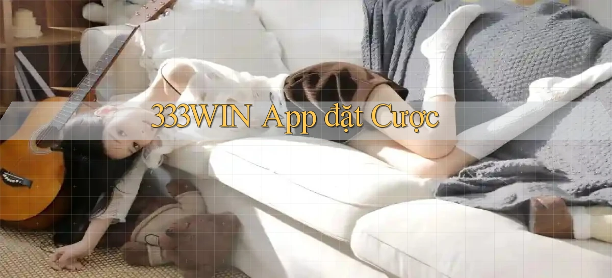 333win app đặt cược