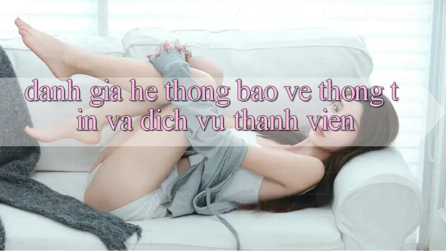 Đánh Giá Hệ Thống Bảo vệ thông tin Và Dịch Vụ Thành viên Đánh Giá Hệ Thống Bảo vệ thông tin Và Dịch Vụ Thành viên