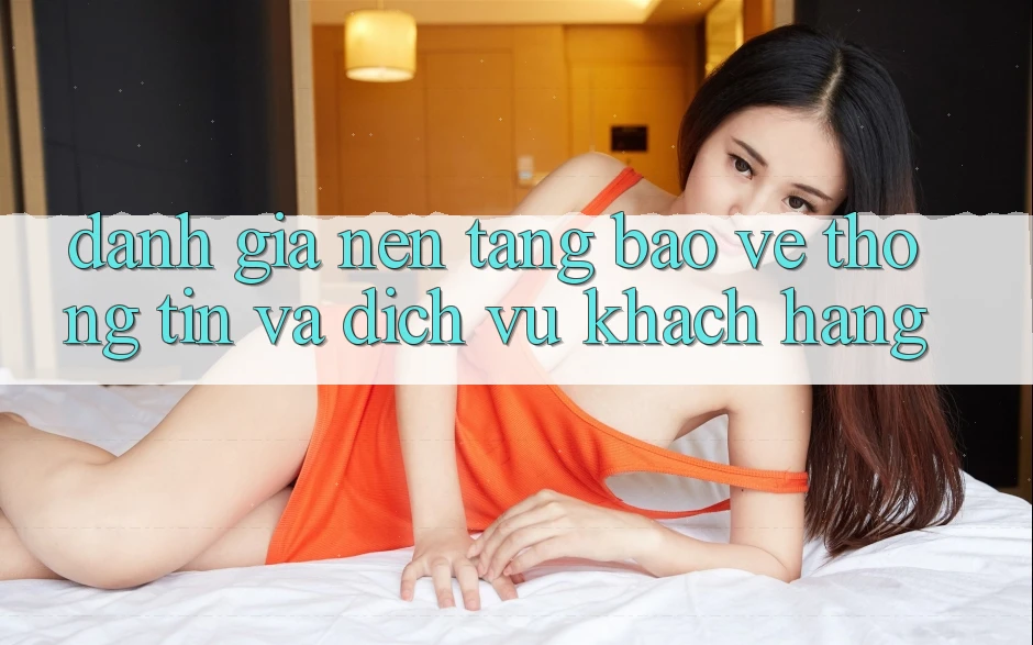 Đánh Giá Nền tảng Bảo vệ thông tin Và Dịch Vụ Khách Hàng Đánh Giá Nền tảng Bảo vệ thông tin Và Dịch Vụ Khách Hàng