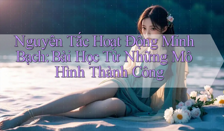 Nguyên Tắc Hoạt Động Minh Bạch: Bài Học Từ Những Mô Hình Thành Công Nguyên Tắc Hoạt Động Minh Bạch: Bài Học Từ Những Mô Hình Thành Công